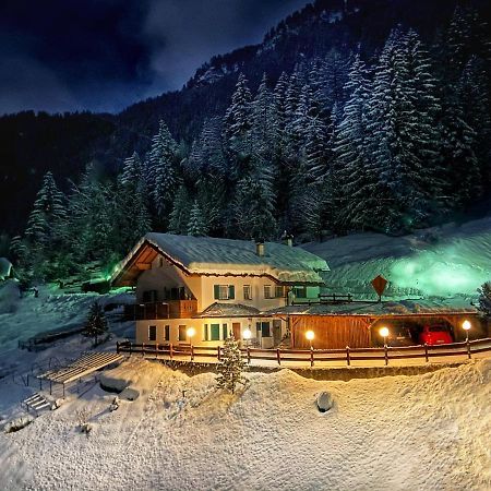 Cesa Vedla - Quite And Cozy Alpine Escape Urtijëi Dış mekan fotoğraf