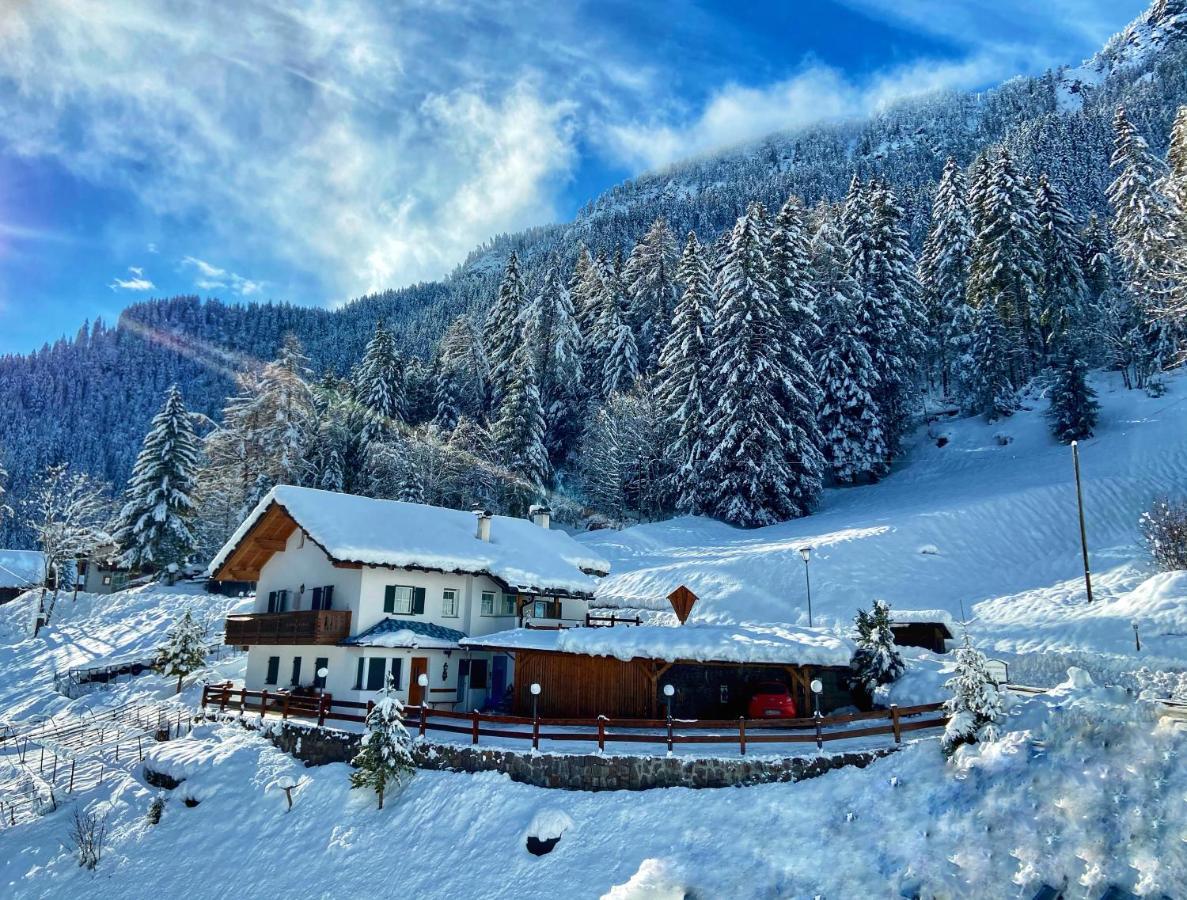 Cesa Vedla - Quite And Cozy Alpine Escape Urtijëi Dış mekan fotoğraf