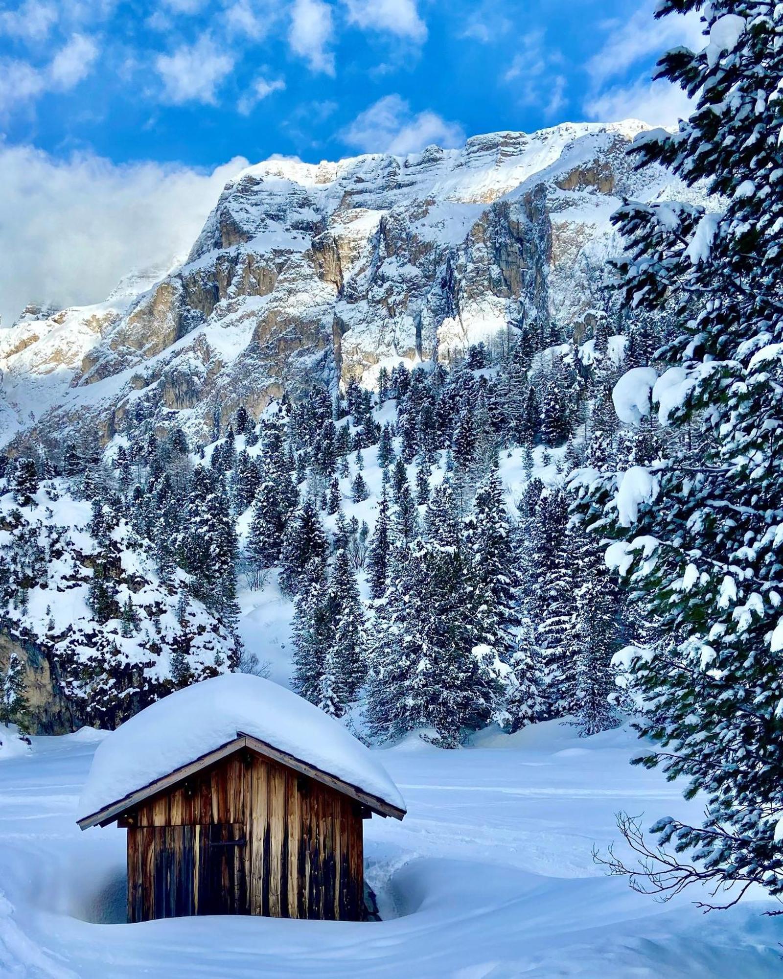 Cesa Vedla - Quite And Cozy Alpine Escape Urtijëi Dış mekan fotoğraf