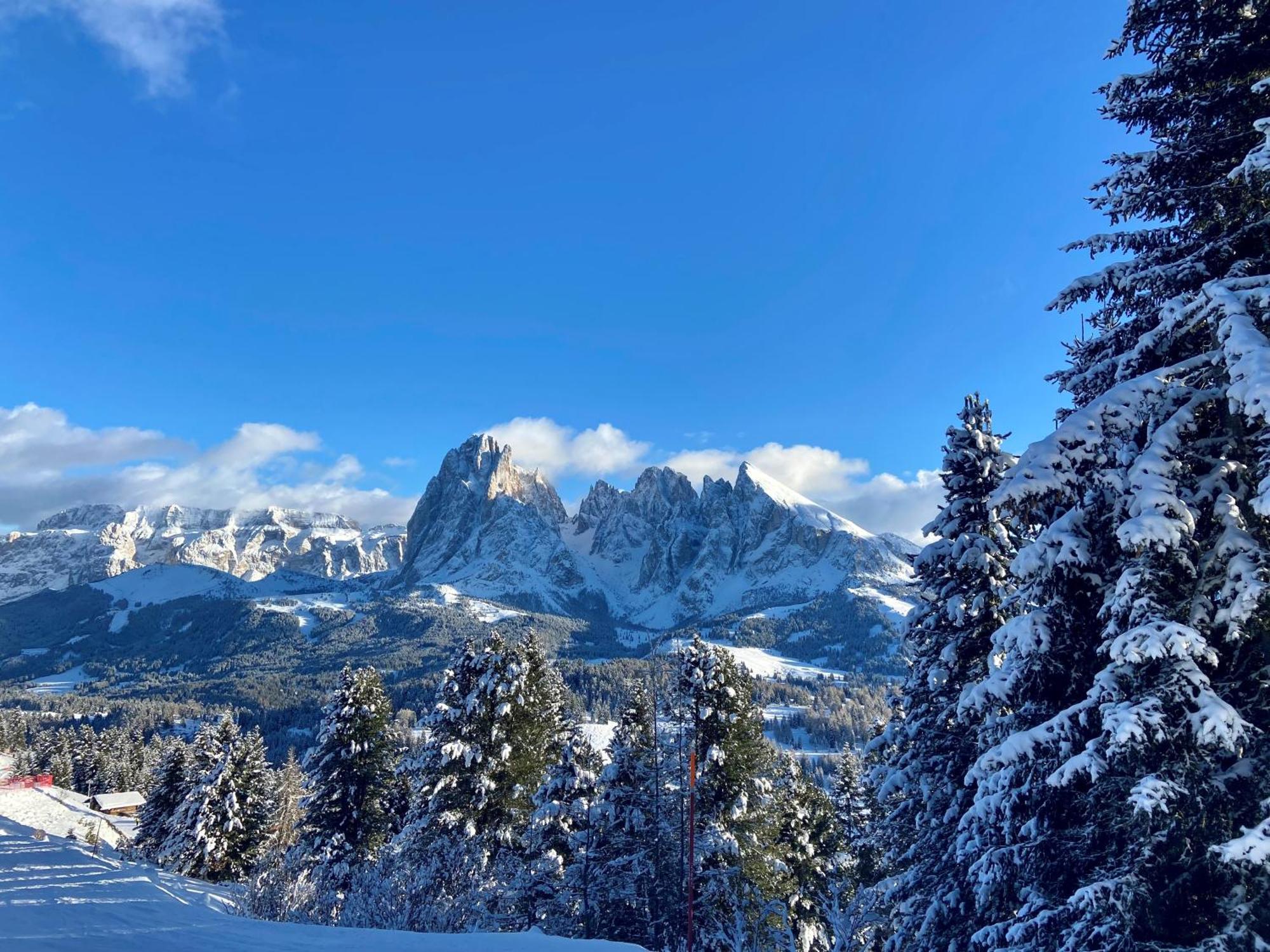 Cesa Vedla - Quite And Cozy Alpine Escape Urtijëi Dış mekan fotoğraf