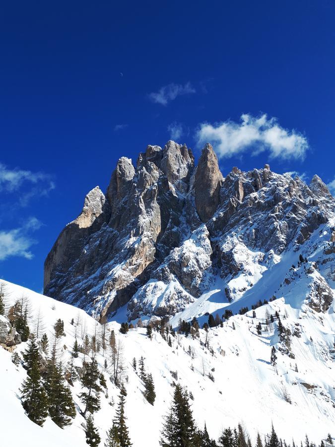Cesa Vedla - Quite And Cozy Alpine Escape Urtijëi Dış mekan fotoğraf