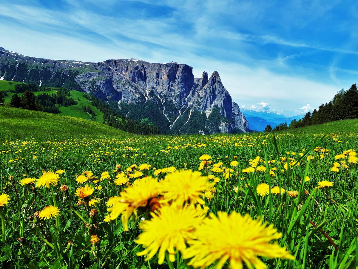 Cesa Vedla - Quite And Cozy Alpine Escape Urtijëi Dış mekan fotoğraf