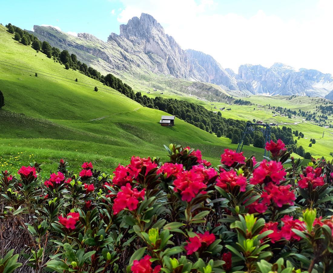 Cesa Vedla - Quite And Cozy Alpine Escape Urtijëi Dış mekan fotoğraf